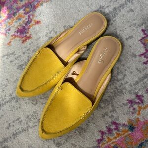 Express pointed toe sandal